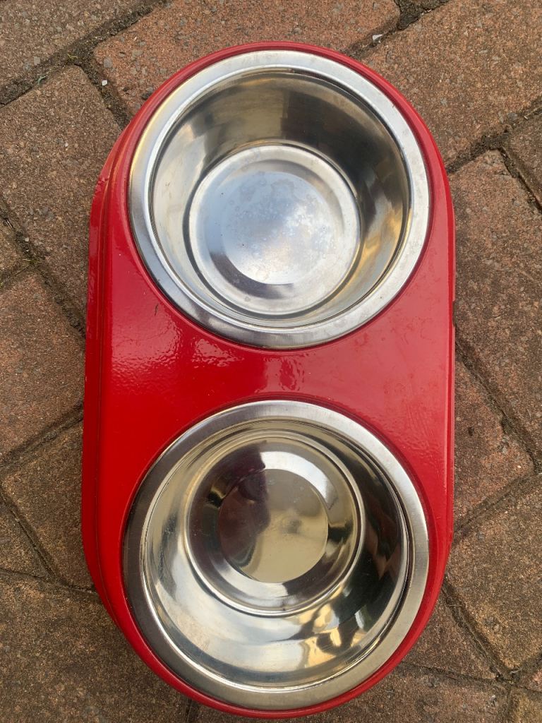 double pet bowl