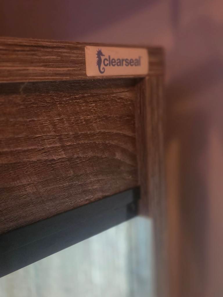 Bearded dragon and vivarium 