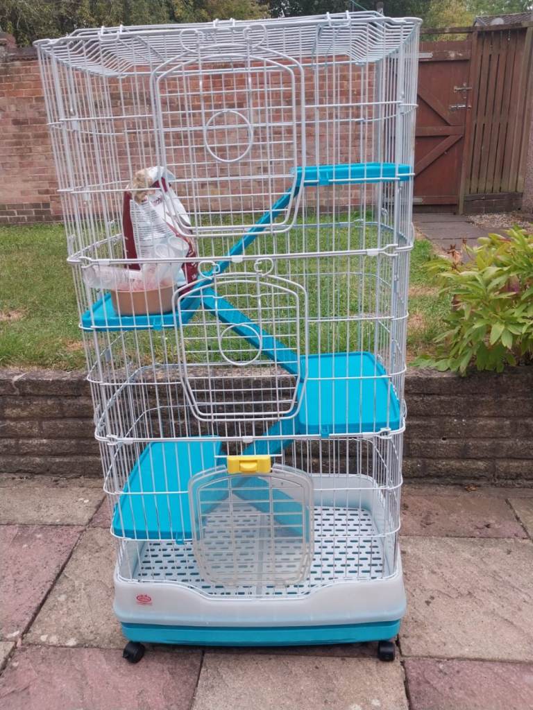 Large pet cage for chinchilla or degu