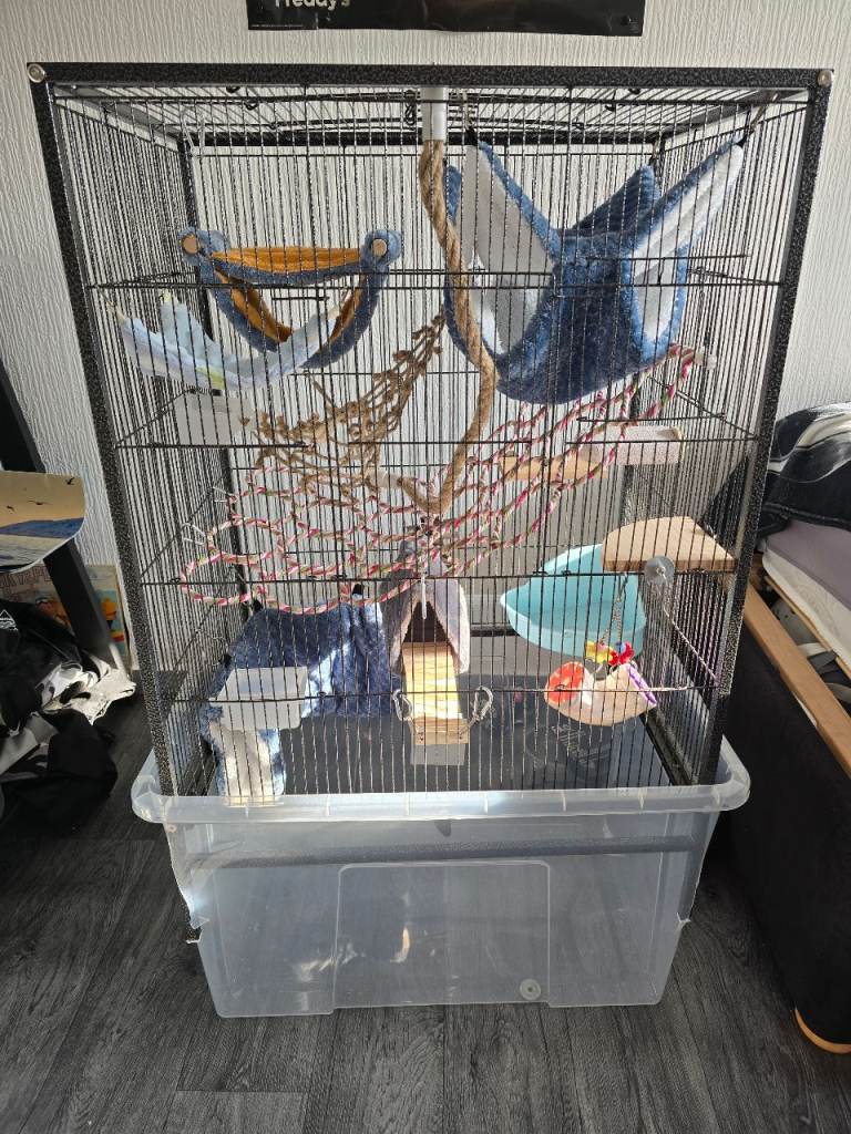 Bird/rat cage