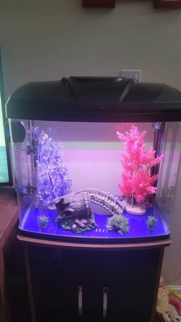 Aqua One, Aqua Vue 580 75 litre fish tank with cabinet, and accessories