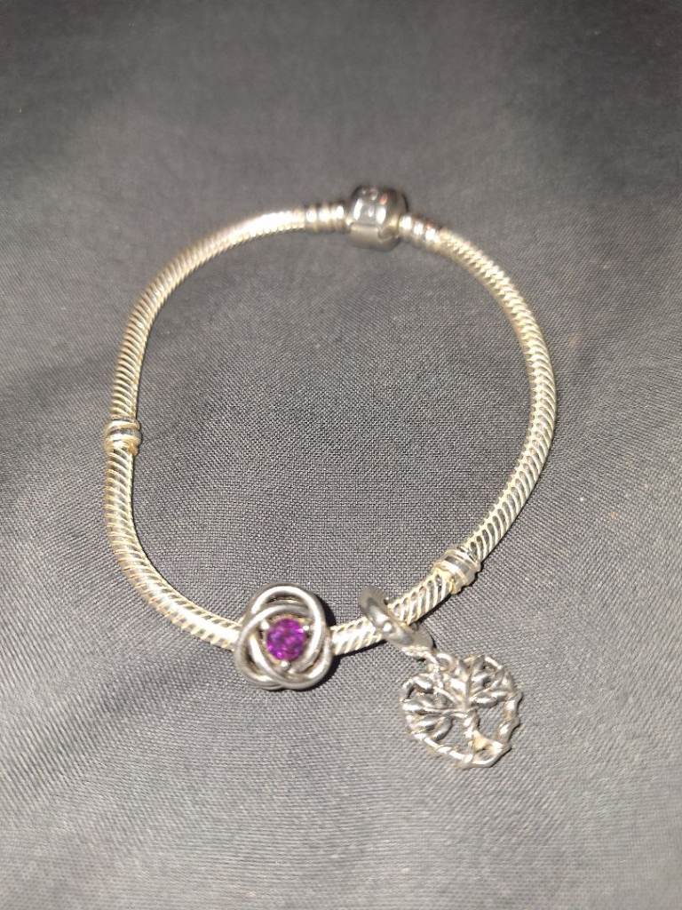 Pandora bracelet with two charms