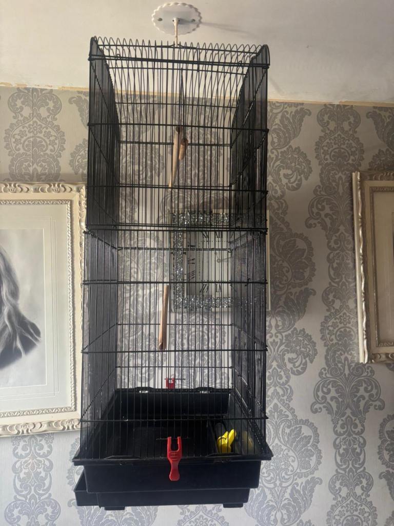 Beautiful Black Bird Cage