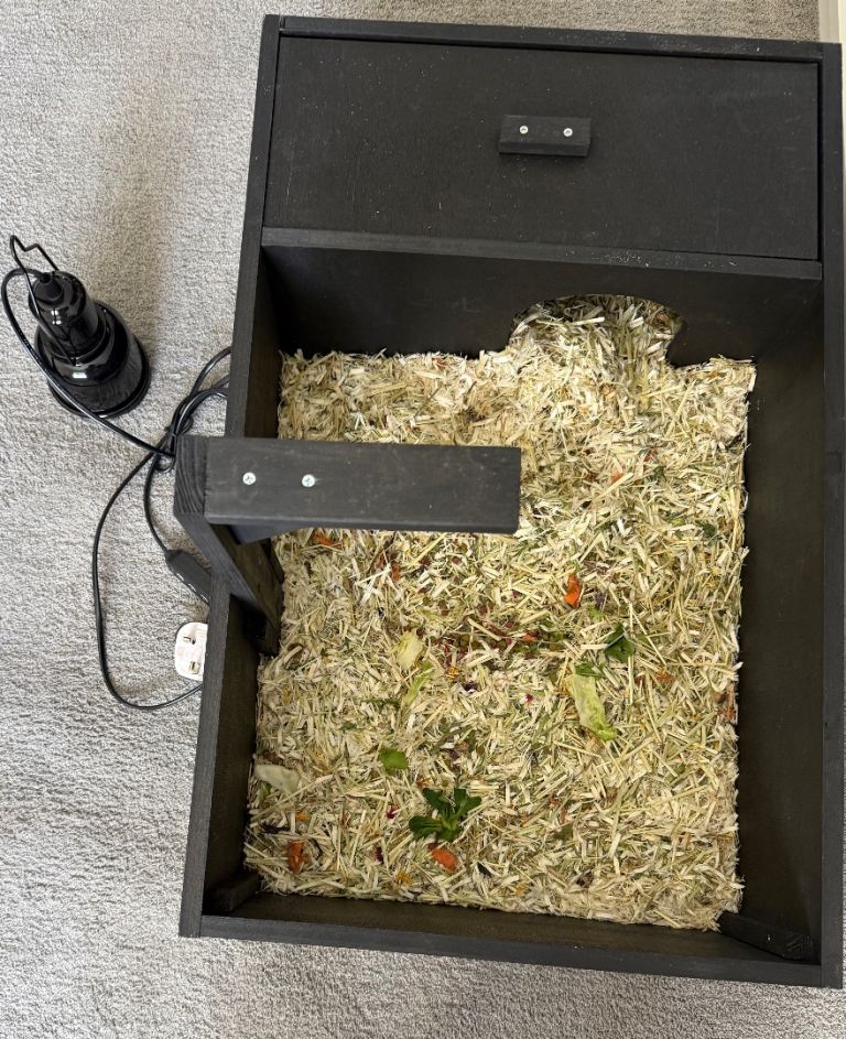 Tortoise table ideally for a juvenile 