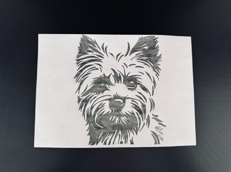 A4 Hand-drawn Pencil Sketch of Yorkshire Terrier Dog Portrait-Drawn in Black/White Monochrome Effect