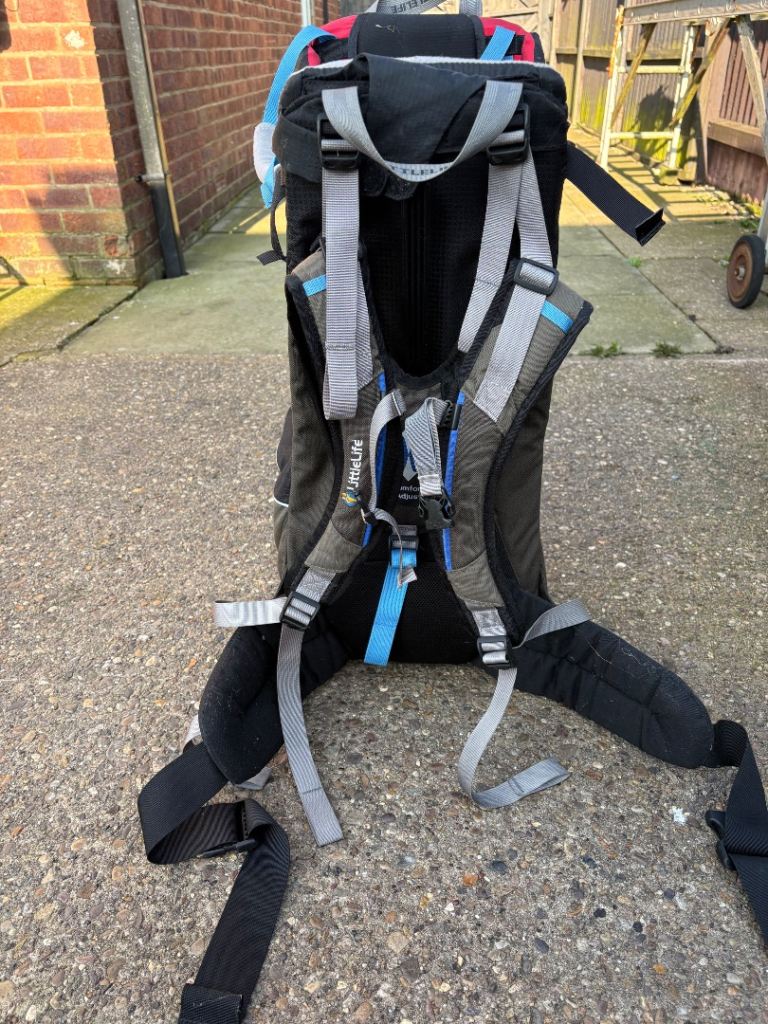 Children back carrier 