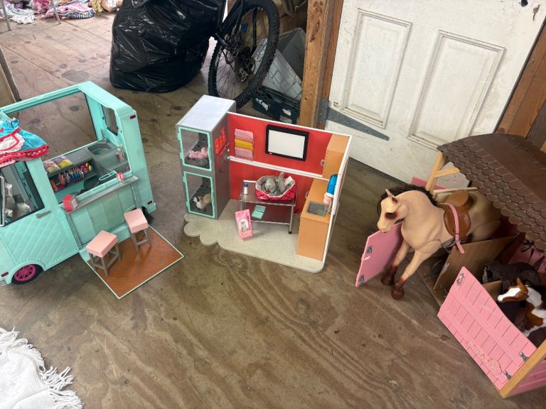 Doll bundle 