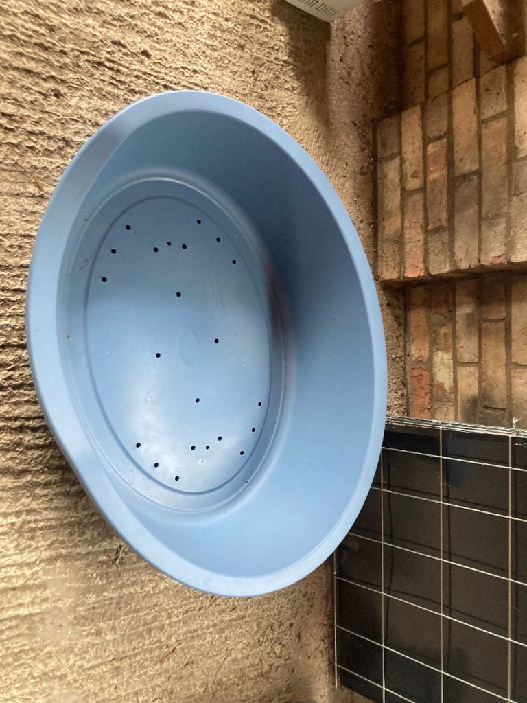 Plastic dog bed large