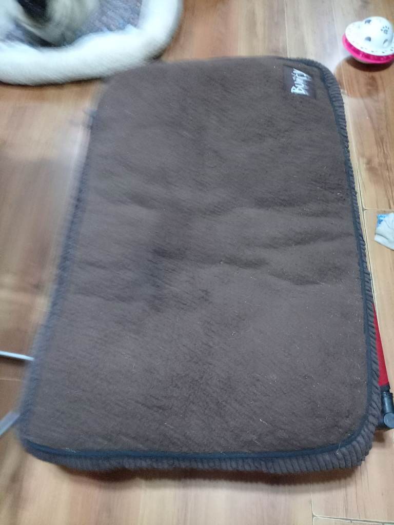 Dog floor mattress