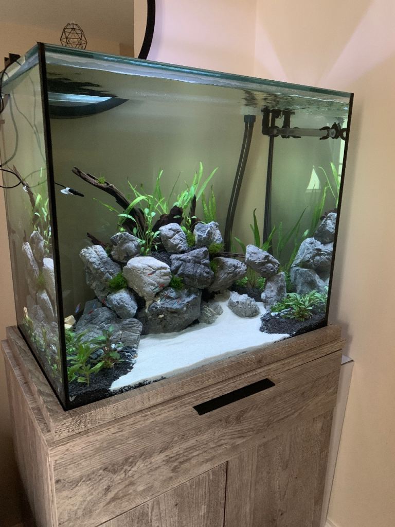 110L Aquarium and Cabinet