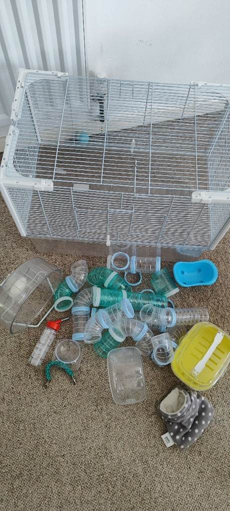 Hamster cage 