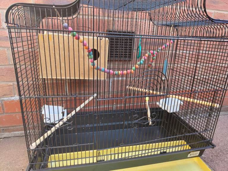 Bird cage 