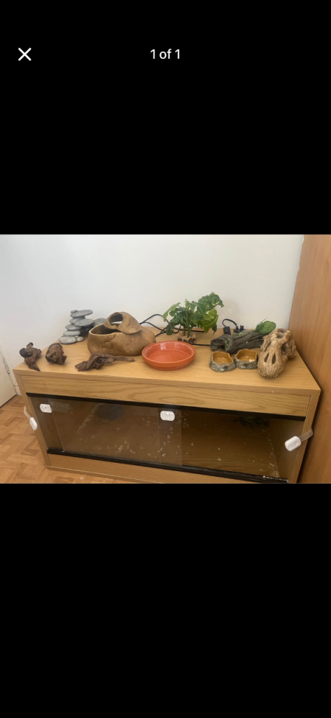 Viv with extras and heat lamp 