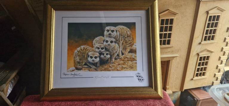 Stephen Gayford Meerkat Print 'Close Family II' with Certificate of Authenticity