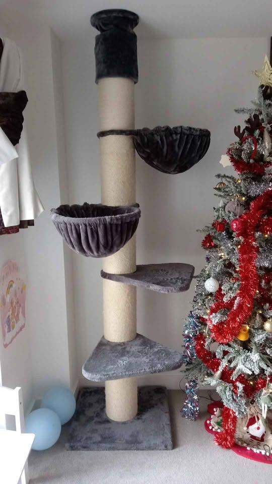 RHR maine coon giant floor to ceiling cat tree