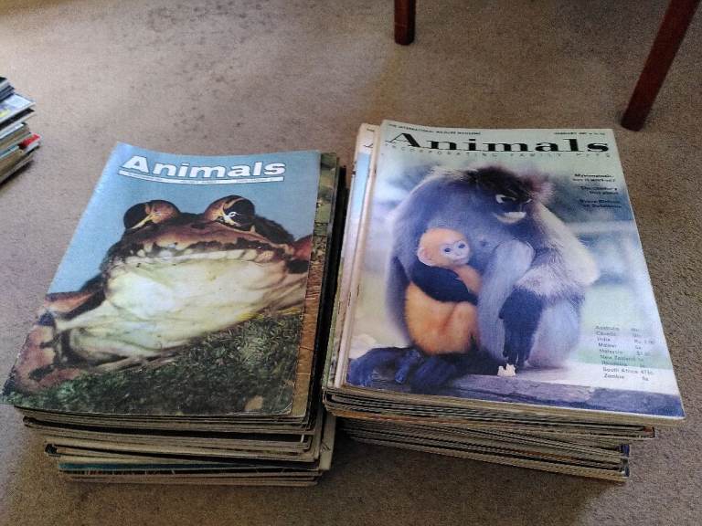 "Animals" magazine issues for sale