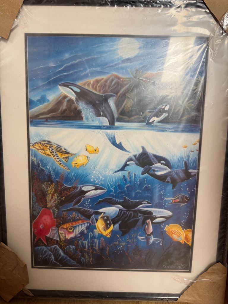 ‘Play Time’ by David Zion Framed Picture