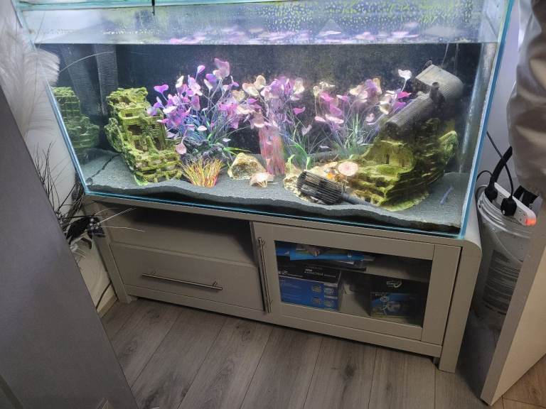 300litre custom made fishtank