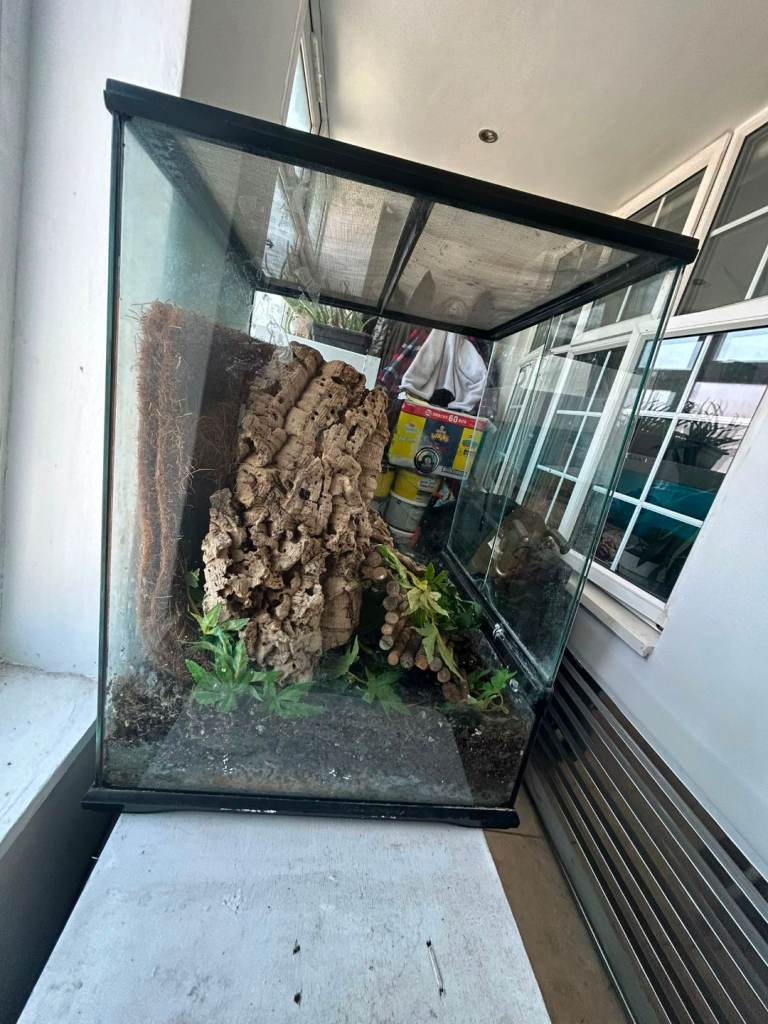 Exo terra great condition vivarium 45x45x60cm