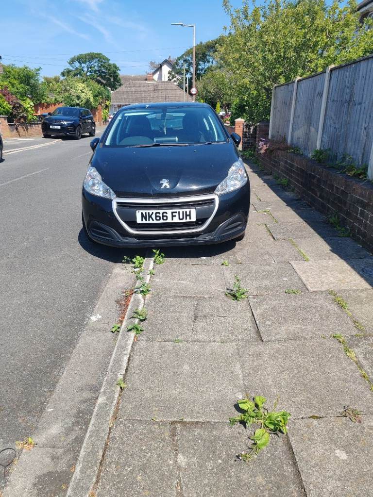 Peugeot, 208 ACCESS, 2017, 1560 (cc)
