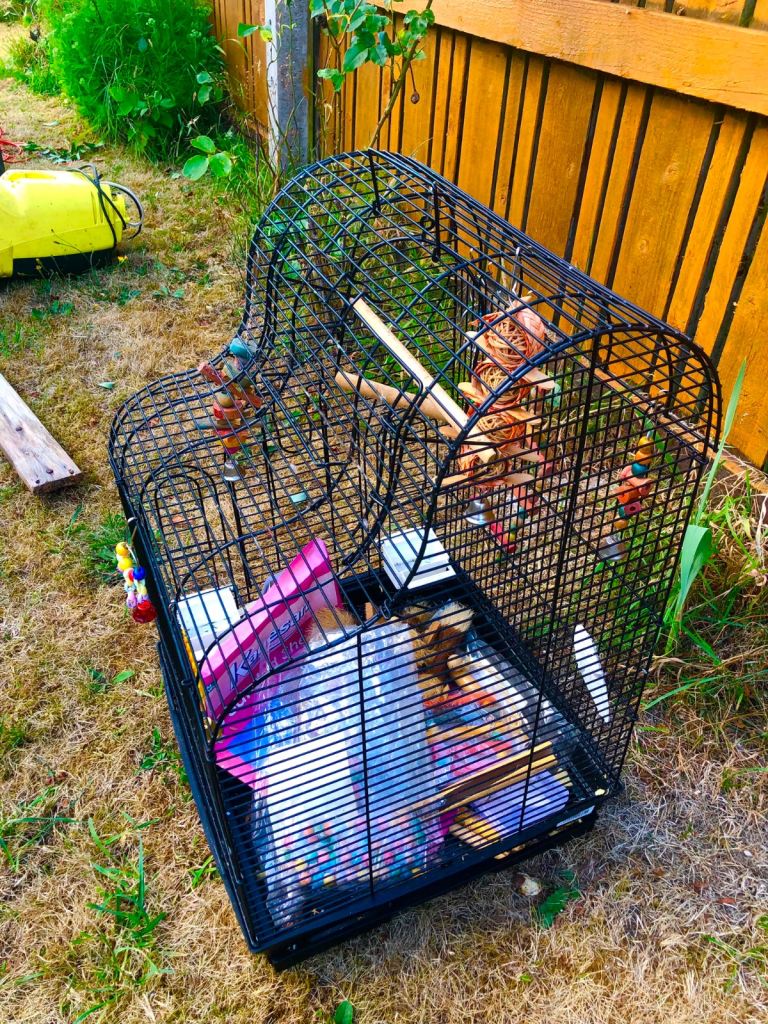 Bird Cage
