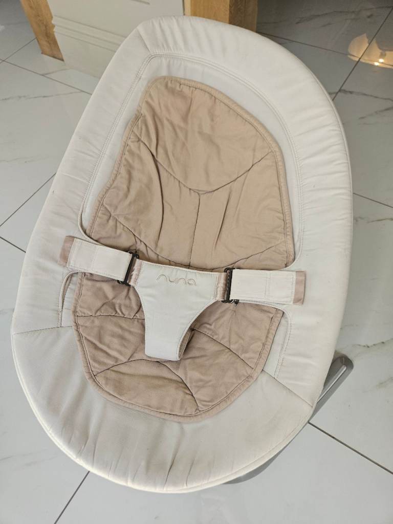 Nuna baby swing