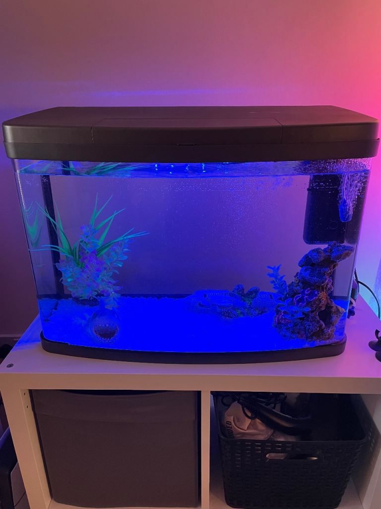 60l Fish Tank Aquarium full set up 