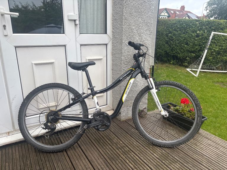Specialized Hot Rock kids bike