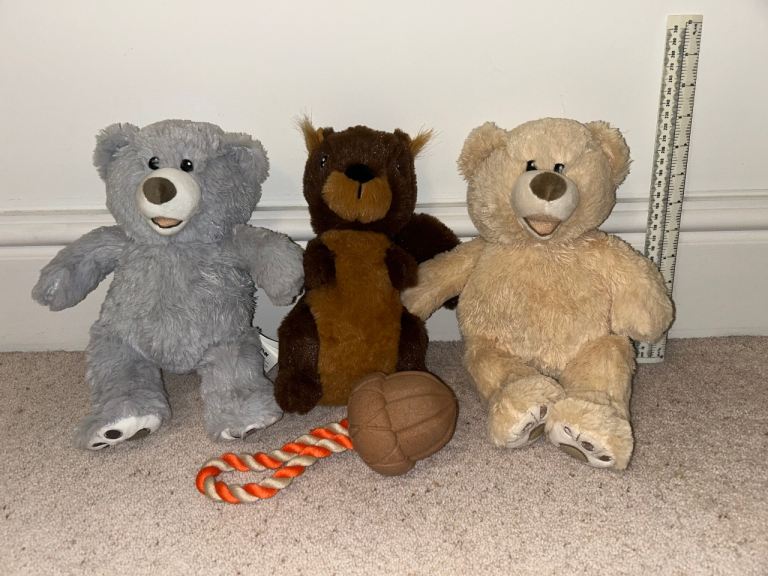 Collection Of Brand New Dog Toys With Squeakers And Scrunchie Material