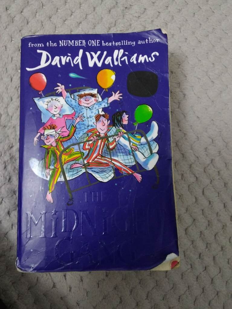 David Walliams' "The Midnight Gang" Book – Good Condition