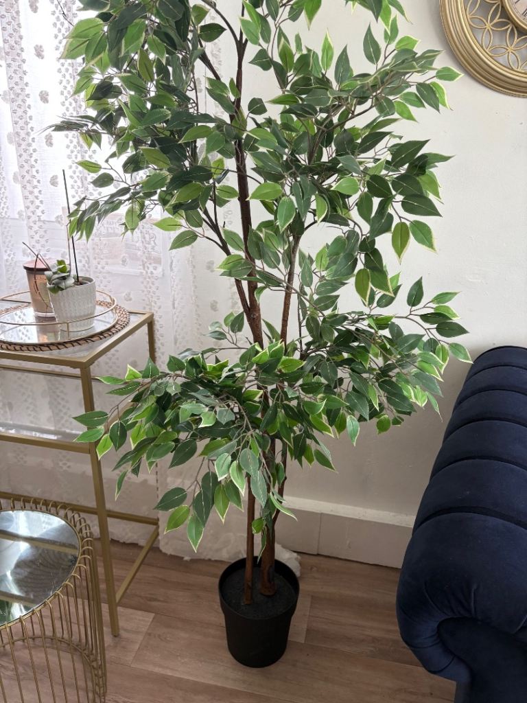 IKEA Artificial potted plant, in/outdoor Weeping fig, 21 cm