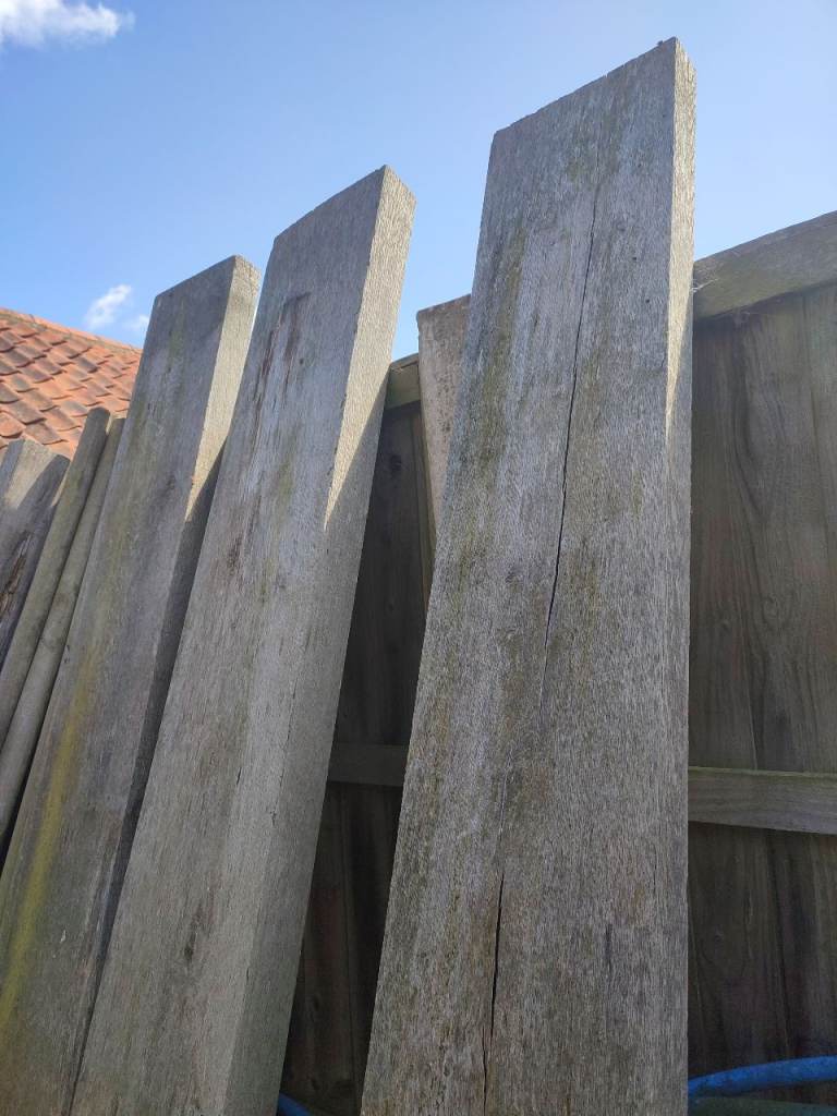 Solid Oak Beams
