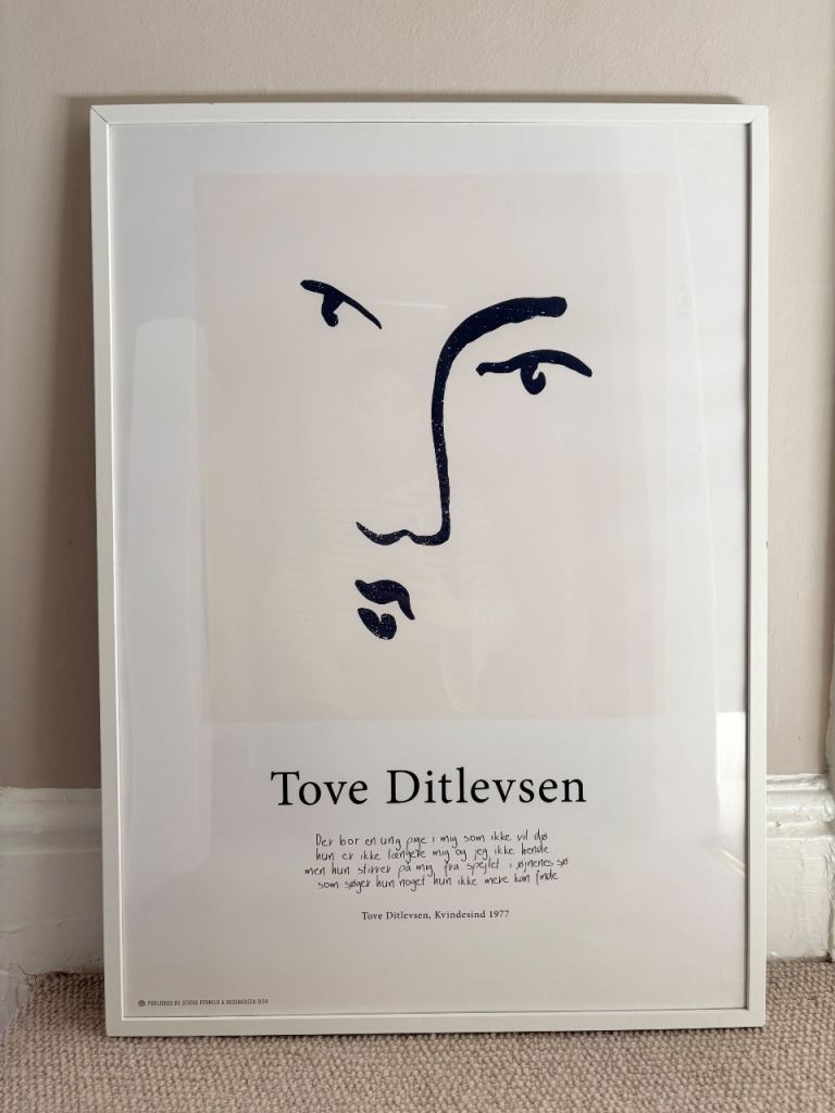Framed Tove Ditlevsen Danish Art Print Poster – Dark Academia / BookTok Style