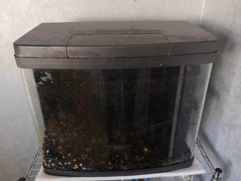 Free Fish Tank Starter Kit with Heater, Pumps, Food, Stones and Scenery just needs fish and water 