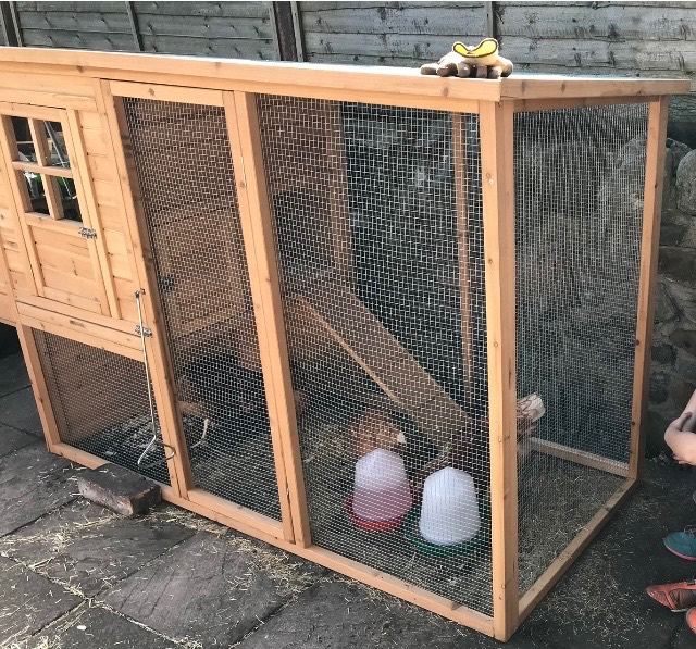 Used Chicken Coop