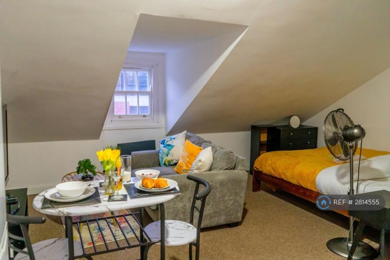 Studio flat in Princess Road West, Leicester, LE1 (#2814555)