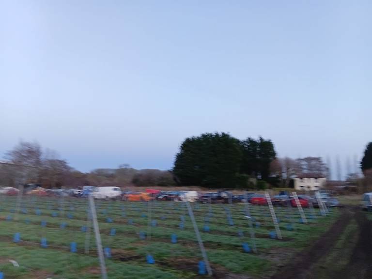 Scrap cars wanted 247 collection 