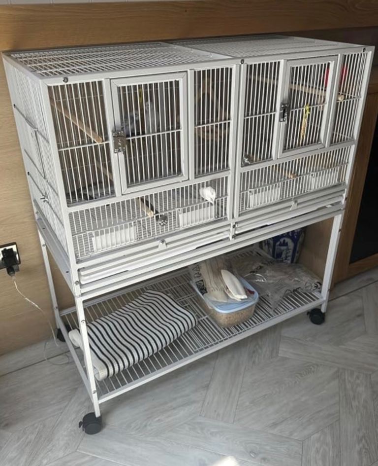 Large white budgie cage 