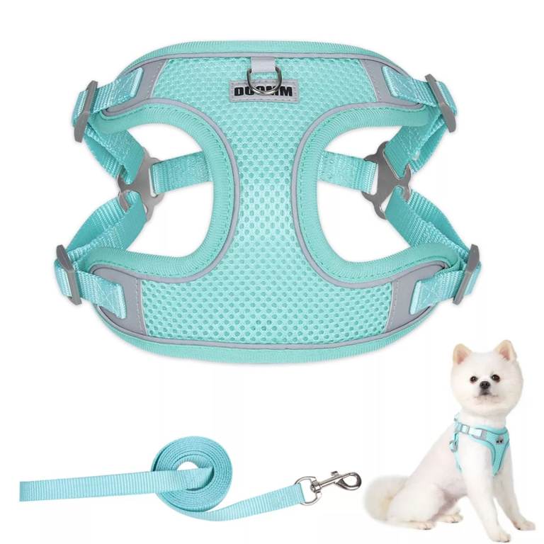 Brand new pet harness & lead sets available