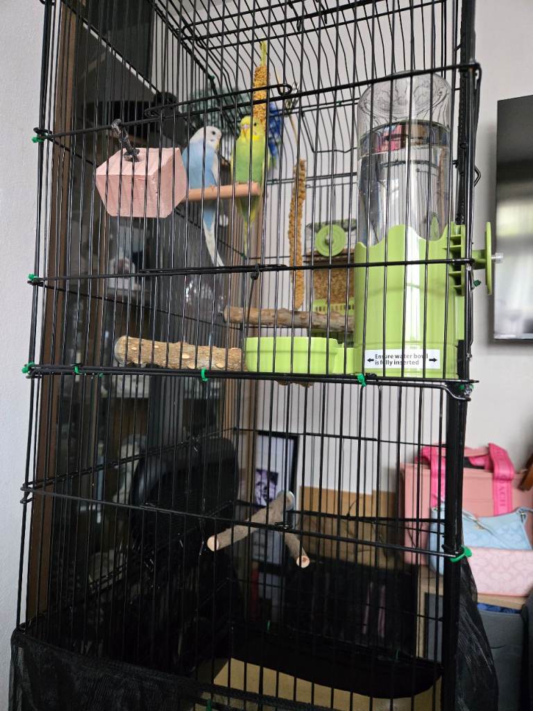 Cage 