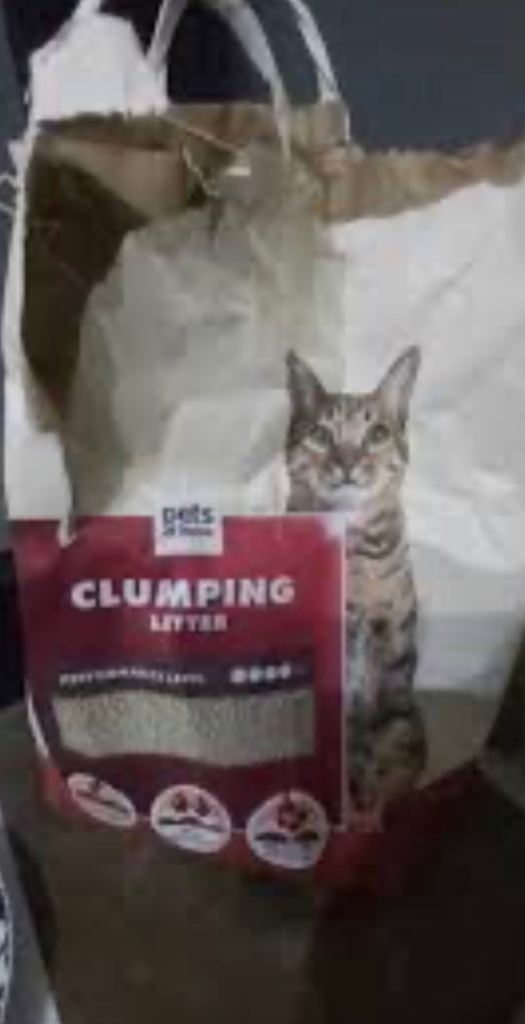 4 bags of cat litter