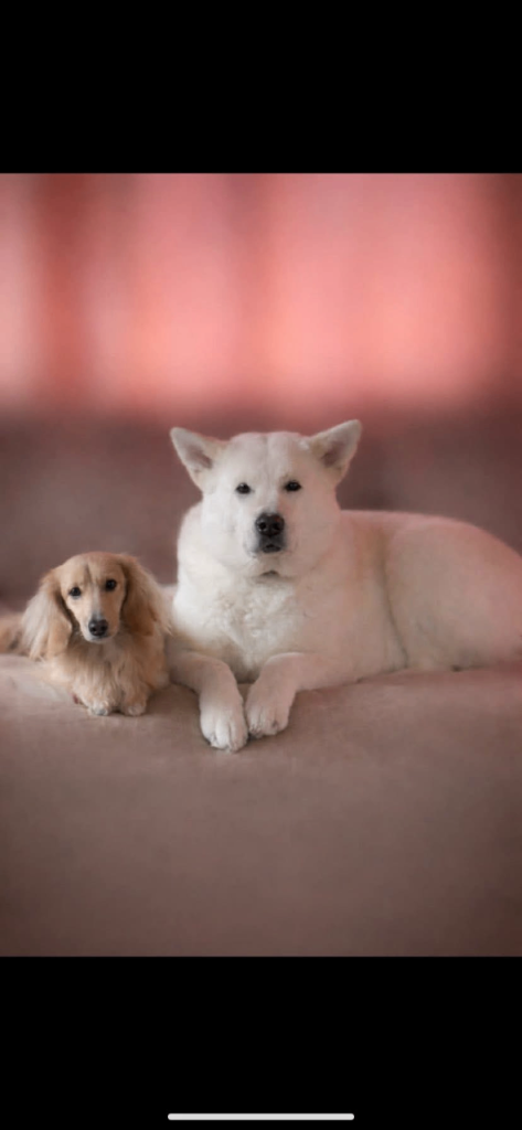 Jake and meeka 