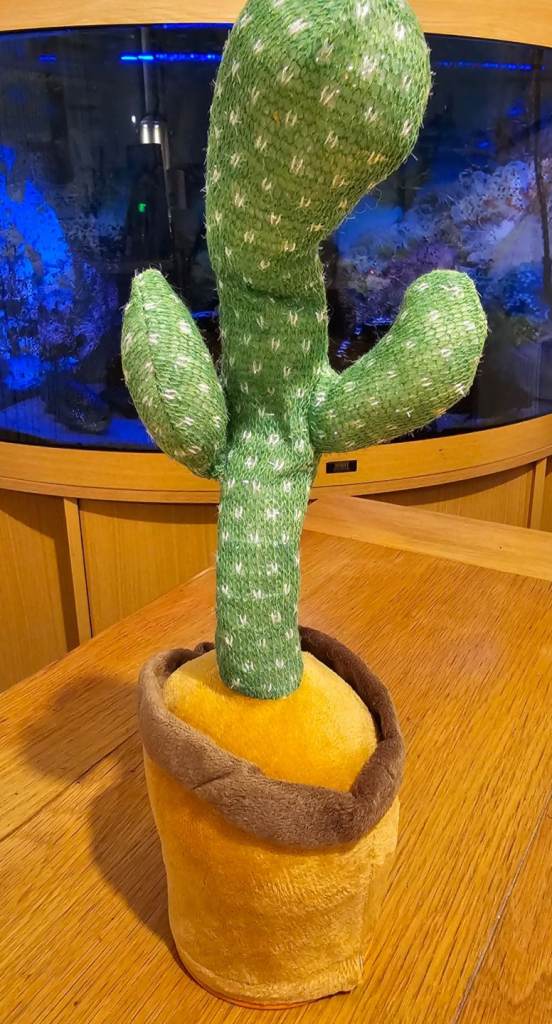 New Talking Toy Dancing Cactus