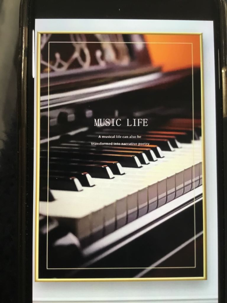 wall plastic picture / photo. (no frame)