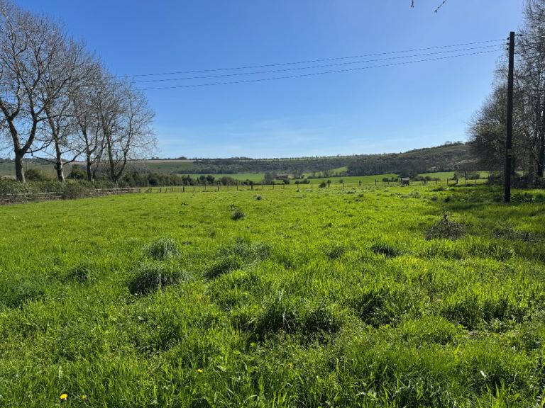 Pony Paddock to rent 