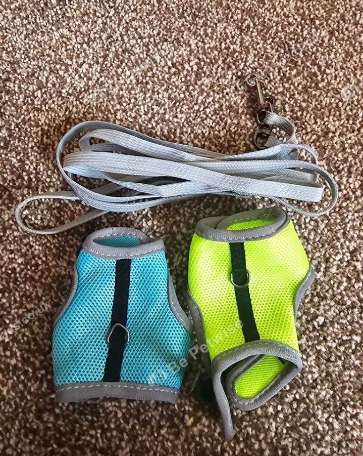 2 harness 