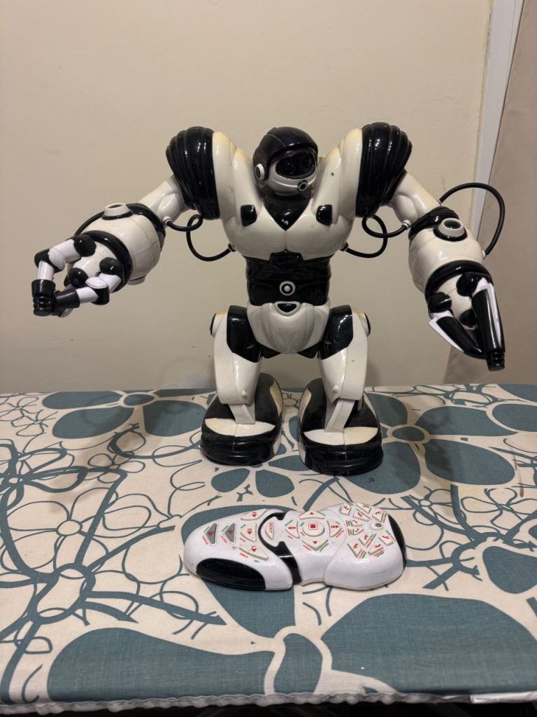 Robot Toy with Remote