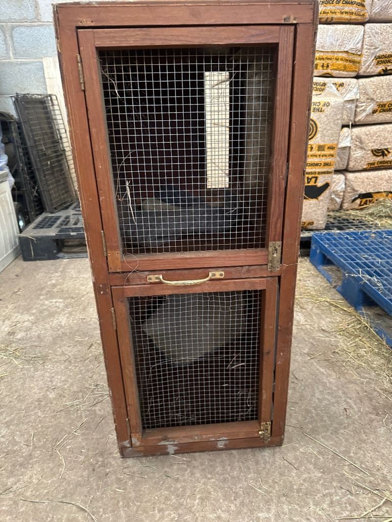 3 terrier boxs 1 double 2 single 