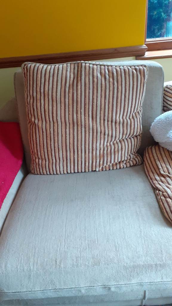 4 very large matching Cushions with removeable covers