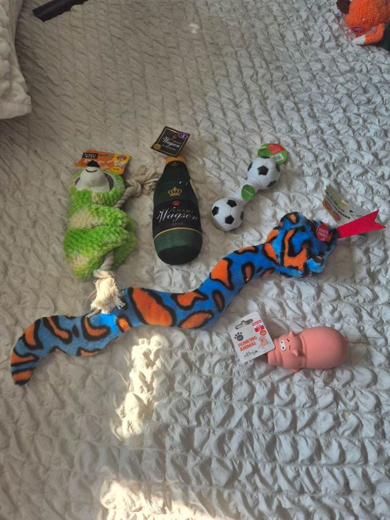 New Dog toy bundle 